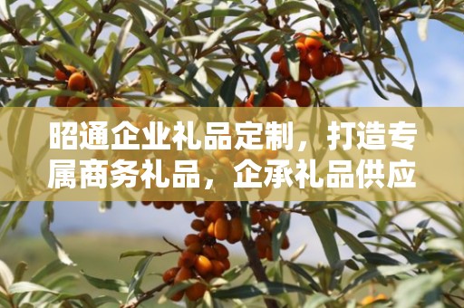 昭通企业礼品定制，打造专属商务礼品，企承礼品供应链为您助力